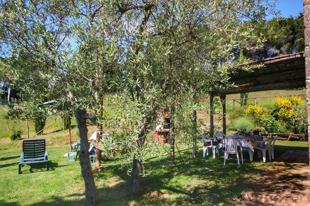 Villa Agriturismo Bellavista à Radicondoli Extérieur photo